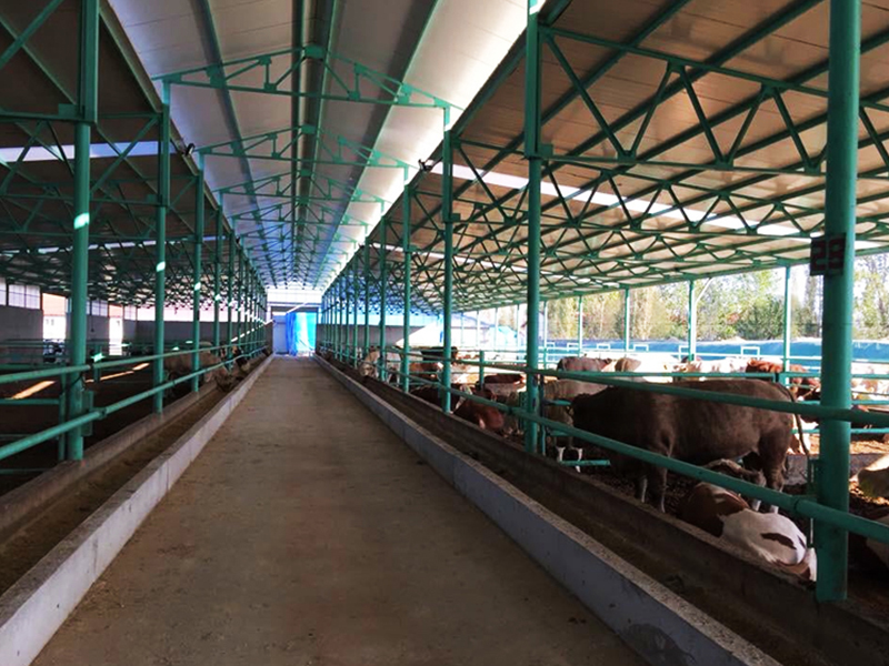 Ayvaz Et Üretim Tesisi