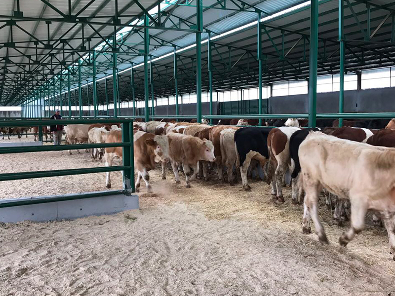 Ayvaz Et Üretim Tesisi