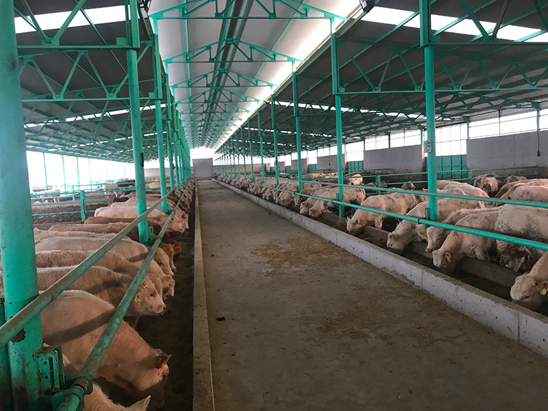 Ayvaz Et Üretim Tesisi